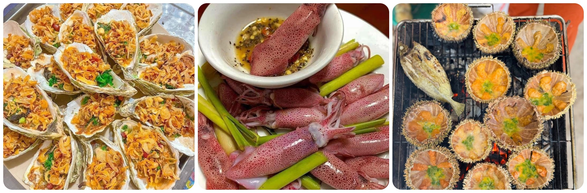 Hải sản trên đảo Cù Lao Mái Nhà