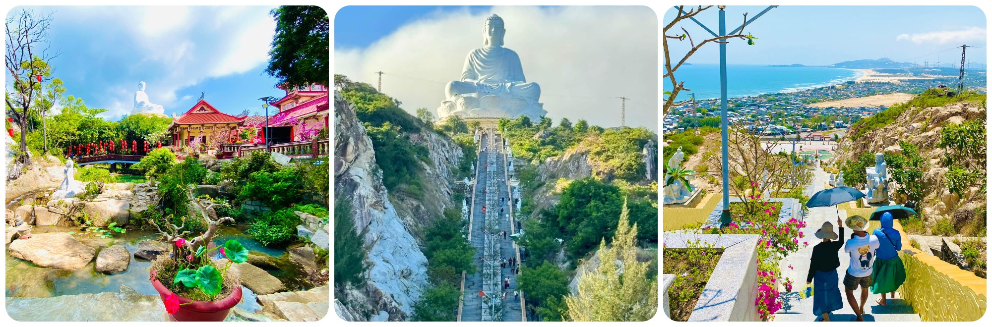 Các điểm dừng chân thú vị nhất trong tour Quảng Ngãi - Quy Nhơn 3 ngày 2 đêm