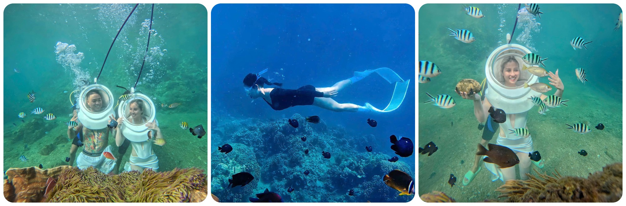 Trải nghiệm tại Bãi San Hô