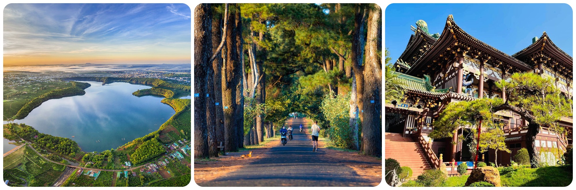 Tour Quy Nhơn - Gia Lai 4 ngày 3 đêm