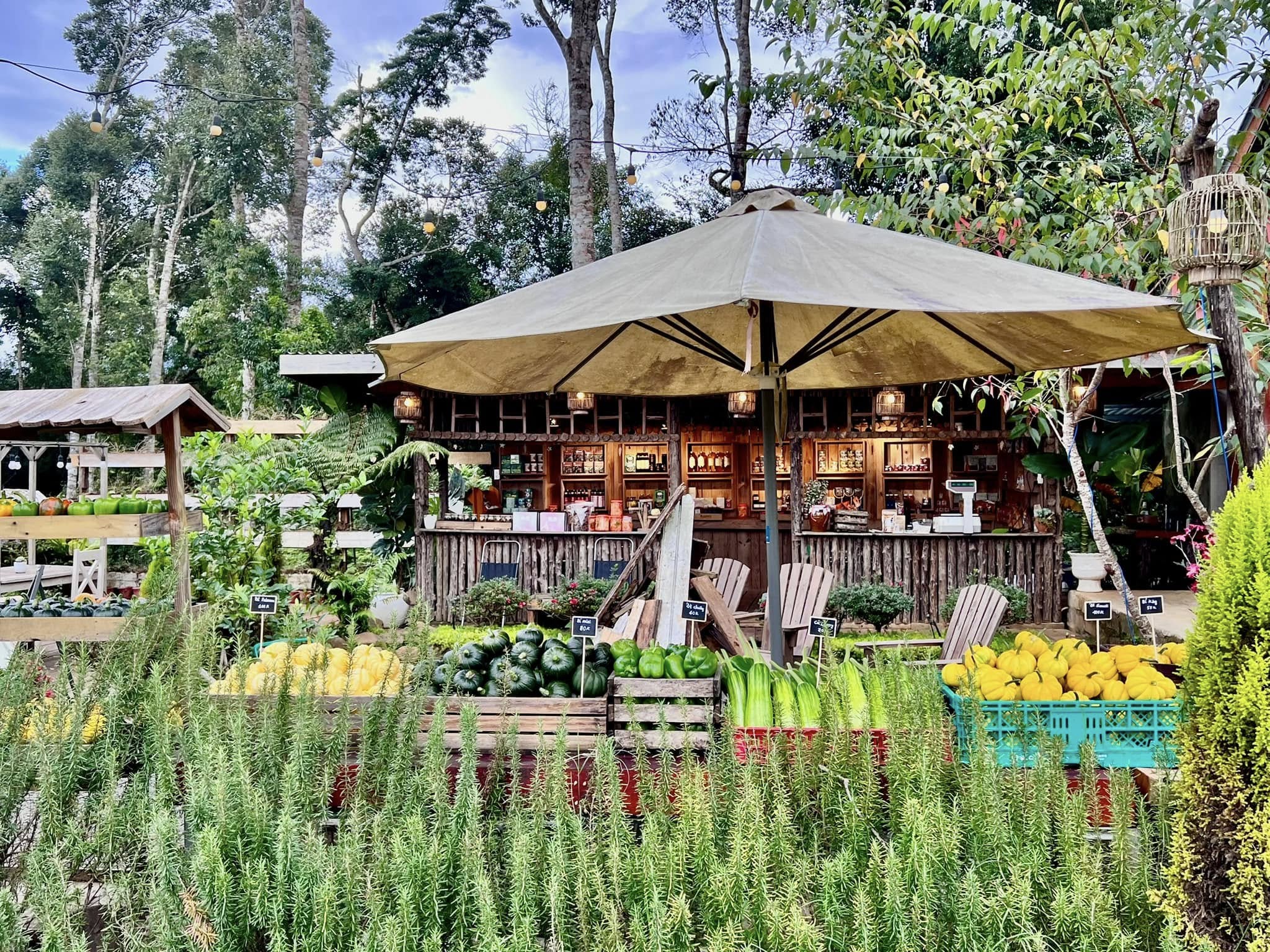 Giá tour Quy Nhơn Măng Đen 2 ngày 1 đêm bao gồm những gì?