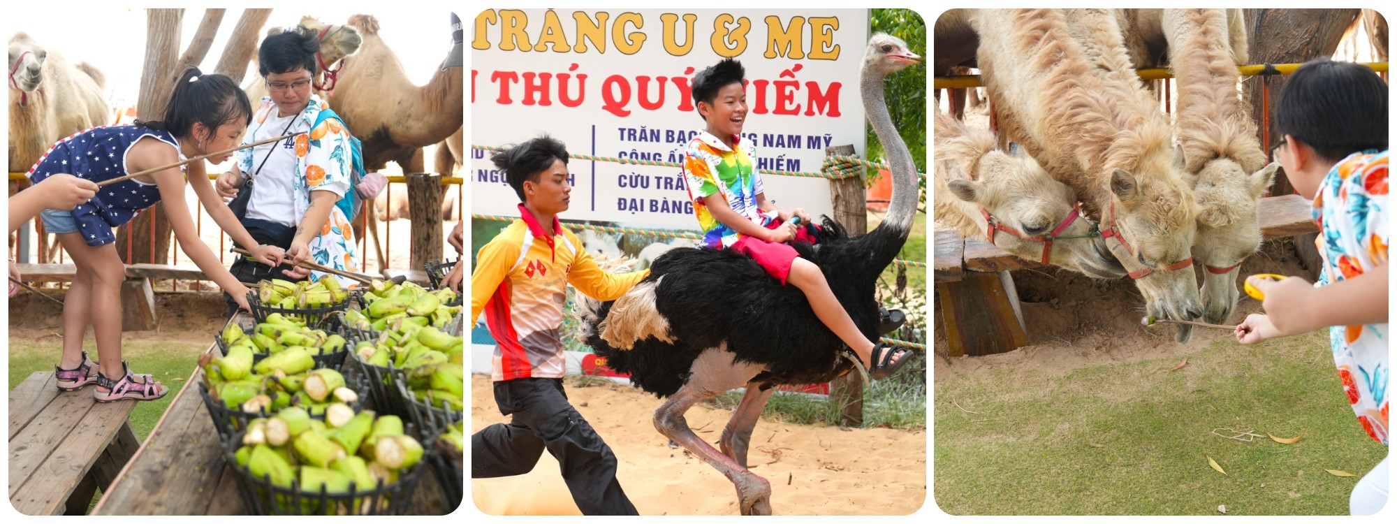 Tour Quy Nhơn - Mũi Né - Vịnh Vĩnh Hy 3 ngày 2 đêm
