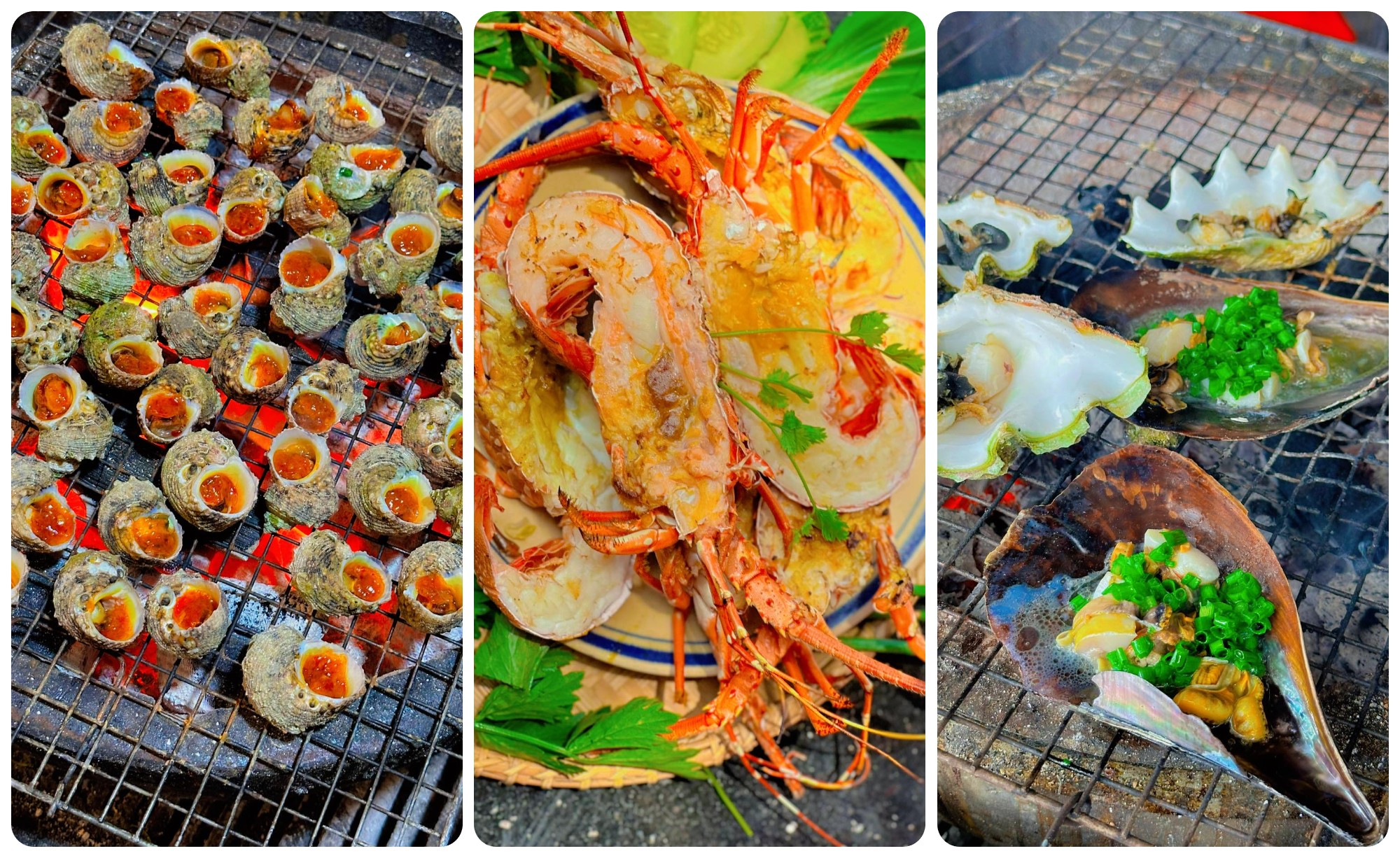 Giới thiệu tour Quy Nhơn - Mũi Né - Vịnh Vĩnh Hy 3 ngày 2 đêm