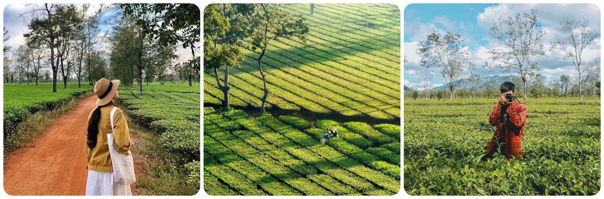 Biển Hồ Chè khiến du khách mê mẩn