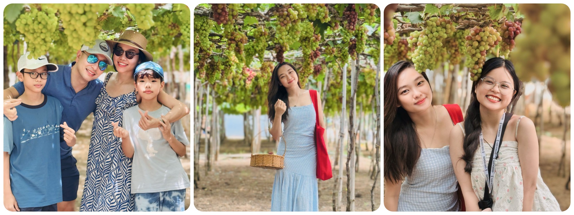 Tour Quy Nhơn - Mũi Né - Vịnh Vĩnh Hy 3 ngày 2 đêm