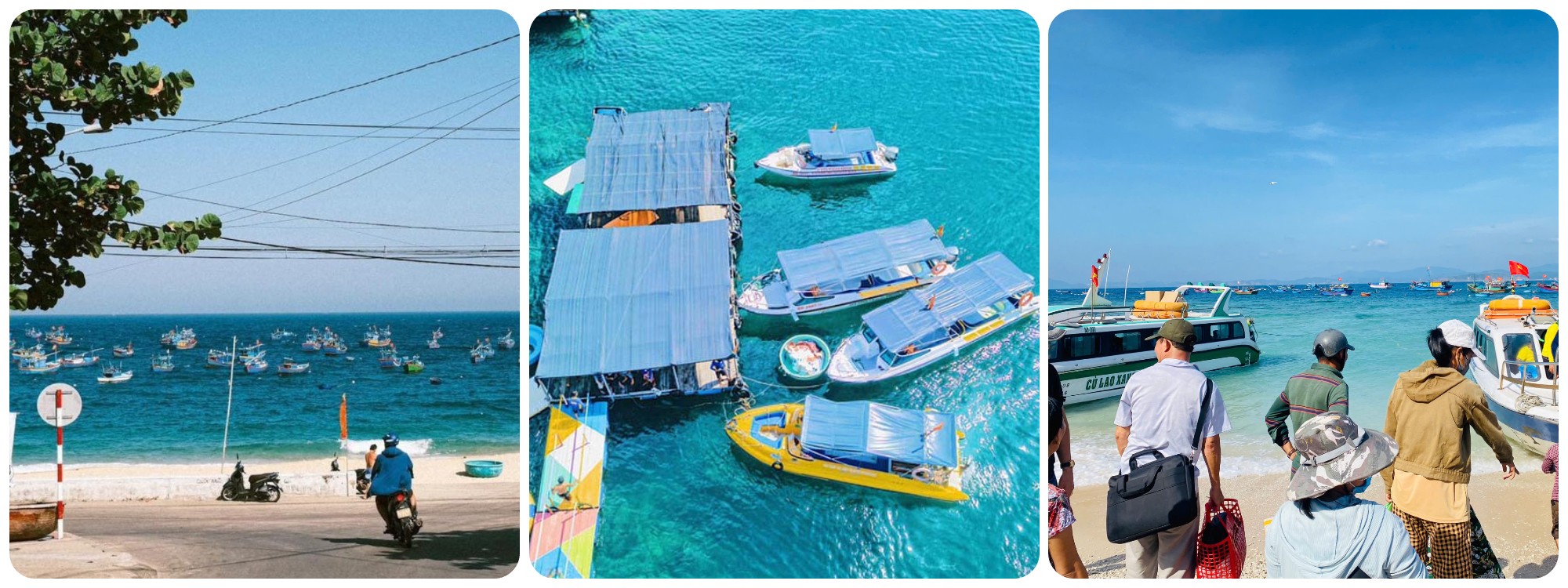 Tour đi bộ dưới đáy biển Quy Nhơn 