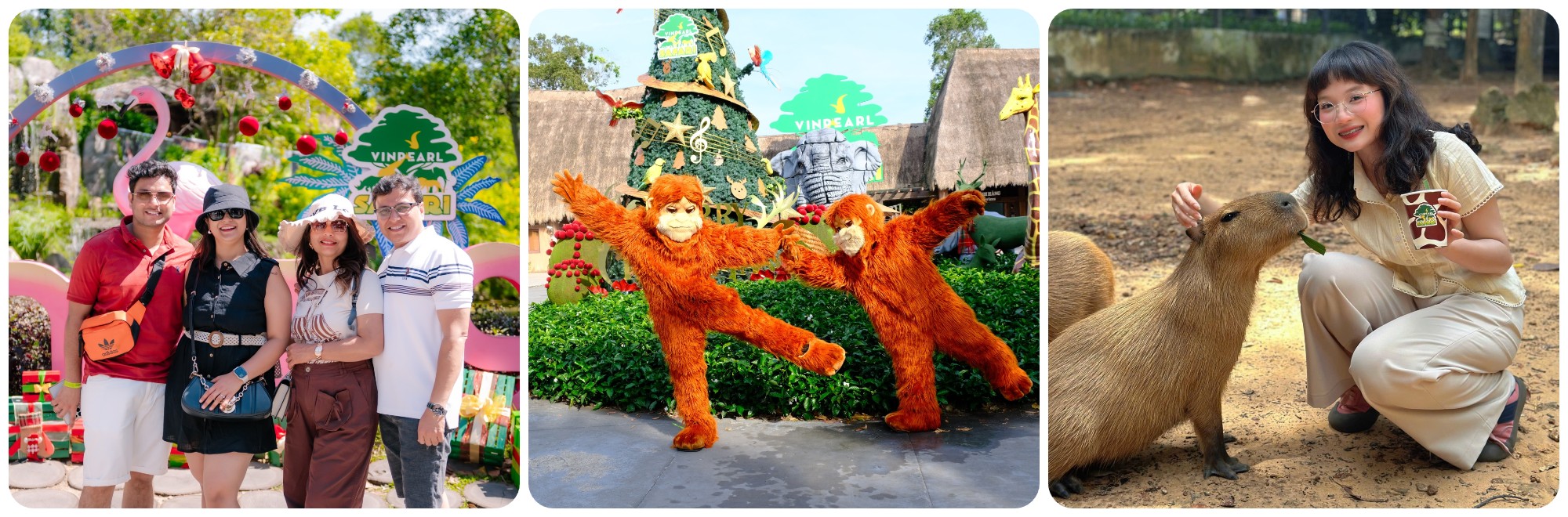 Vườn thú Safari Phú Quốc