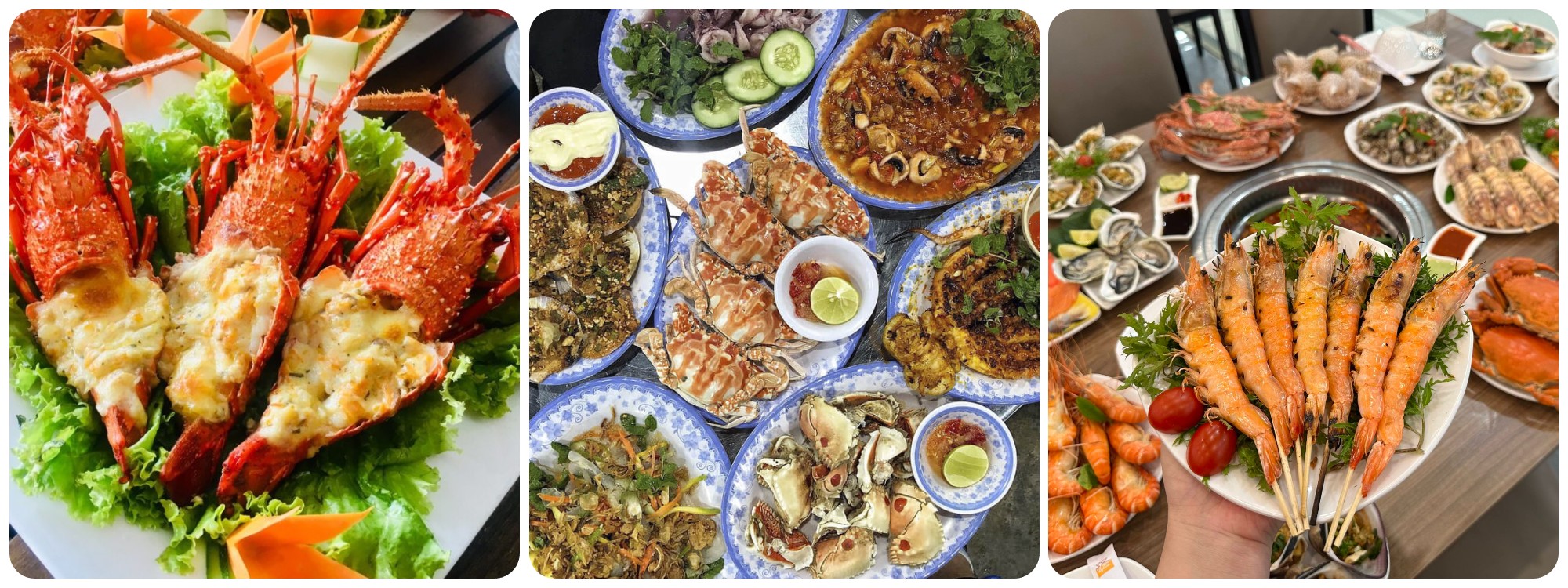 Ăn gì khi trải nghiệm tour đi bộ dưới đáy biển Quy Nhơn