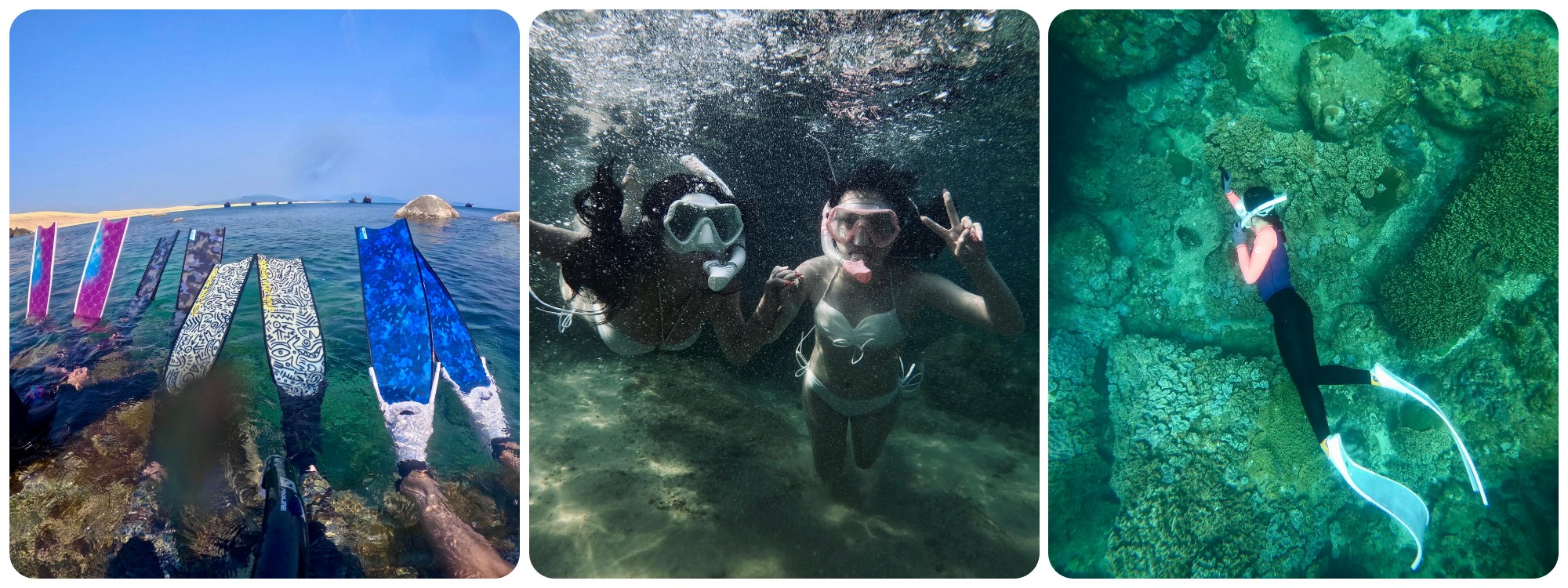 Cùng nhau lặn ngắm san hô Quy Nhơn